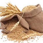 Giải mã giấc mơ thấy lúa mì & nằm ngủ mơ thấy mình ăn lúa mạch